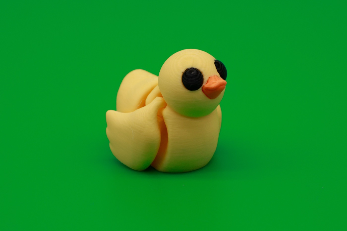Duck mini print